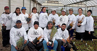 The Cornflower Farms team